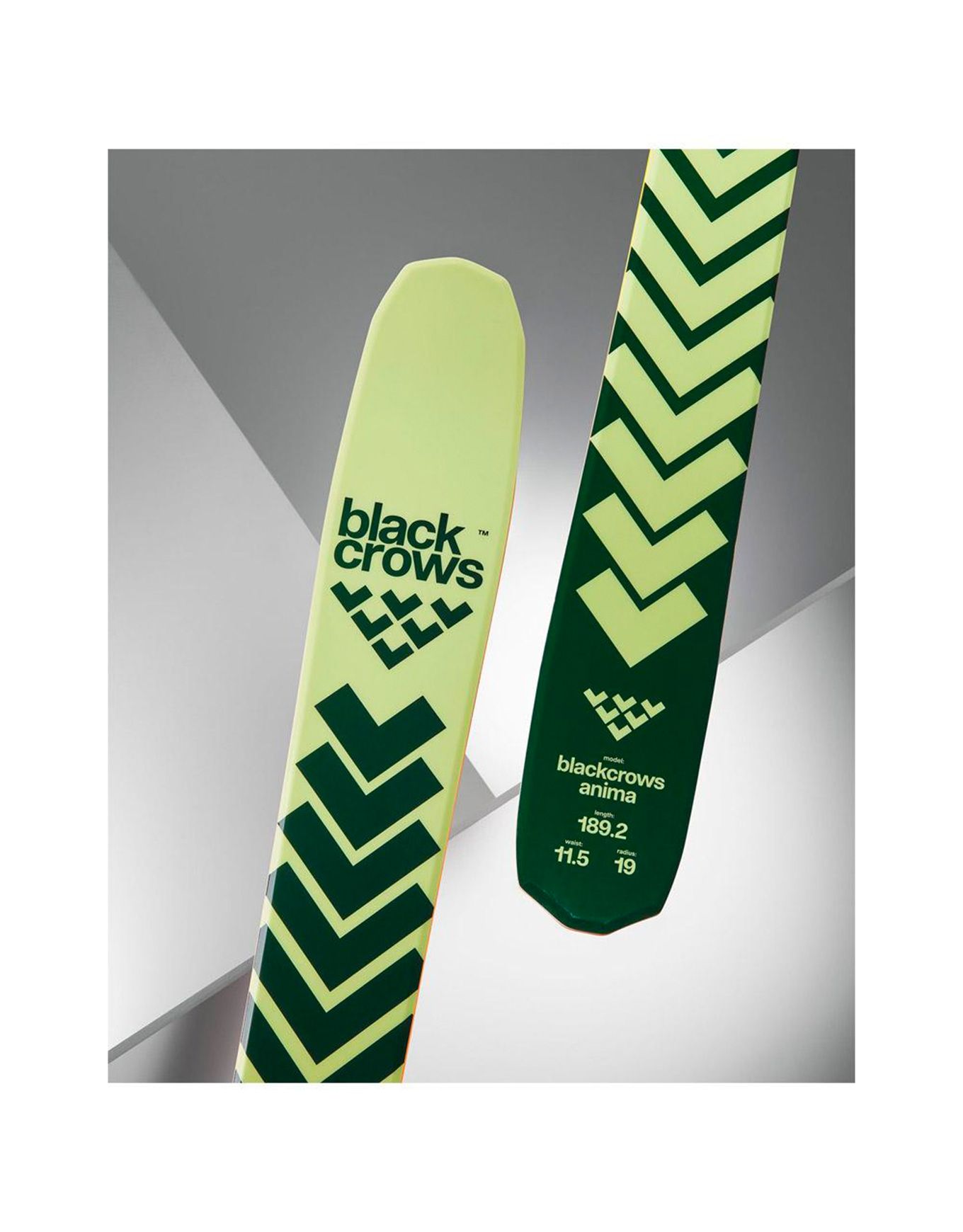 Pack Anima 2026 – Image 3