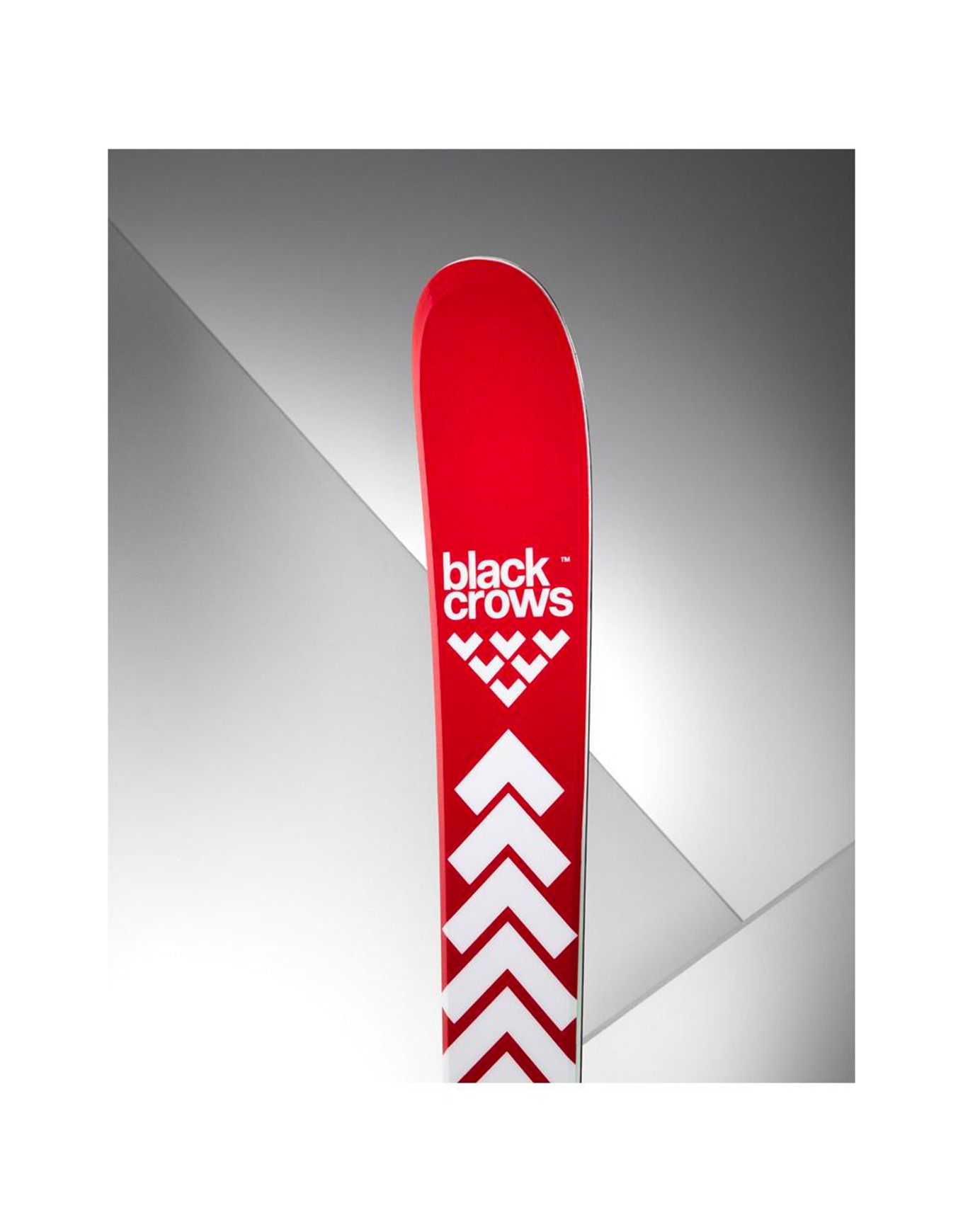 Camox 2026 – Image 2