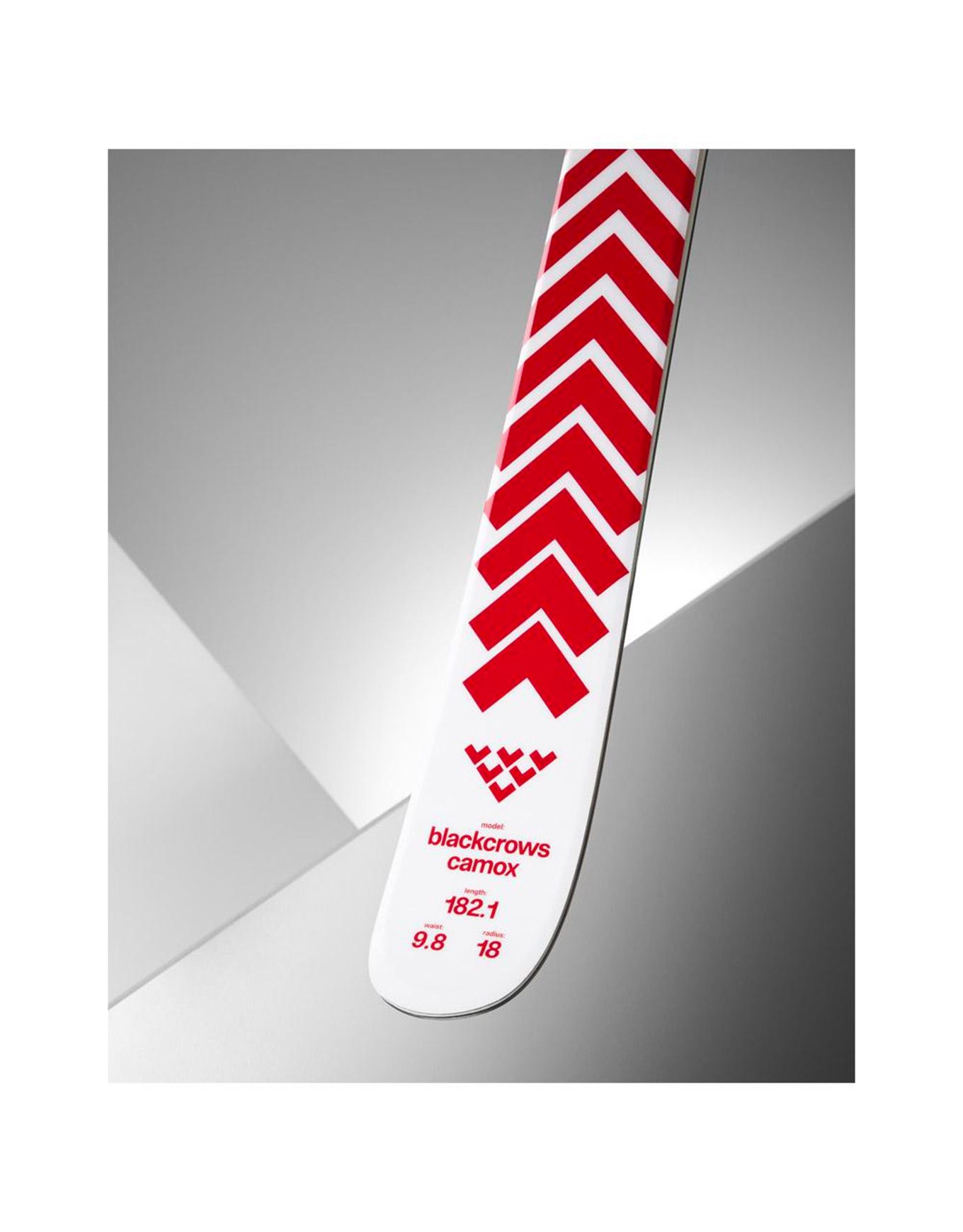 Camox 2026 – Image 3