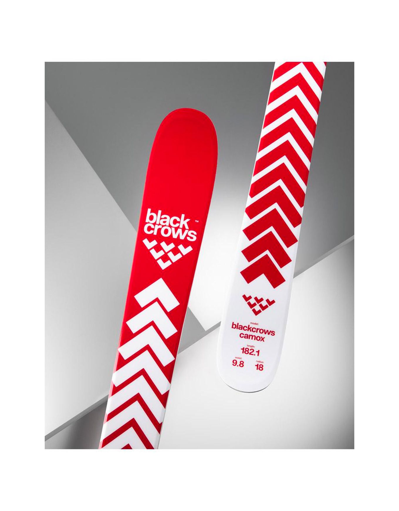 Camox 2026 – Image 6