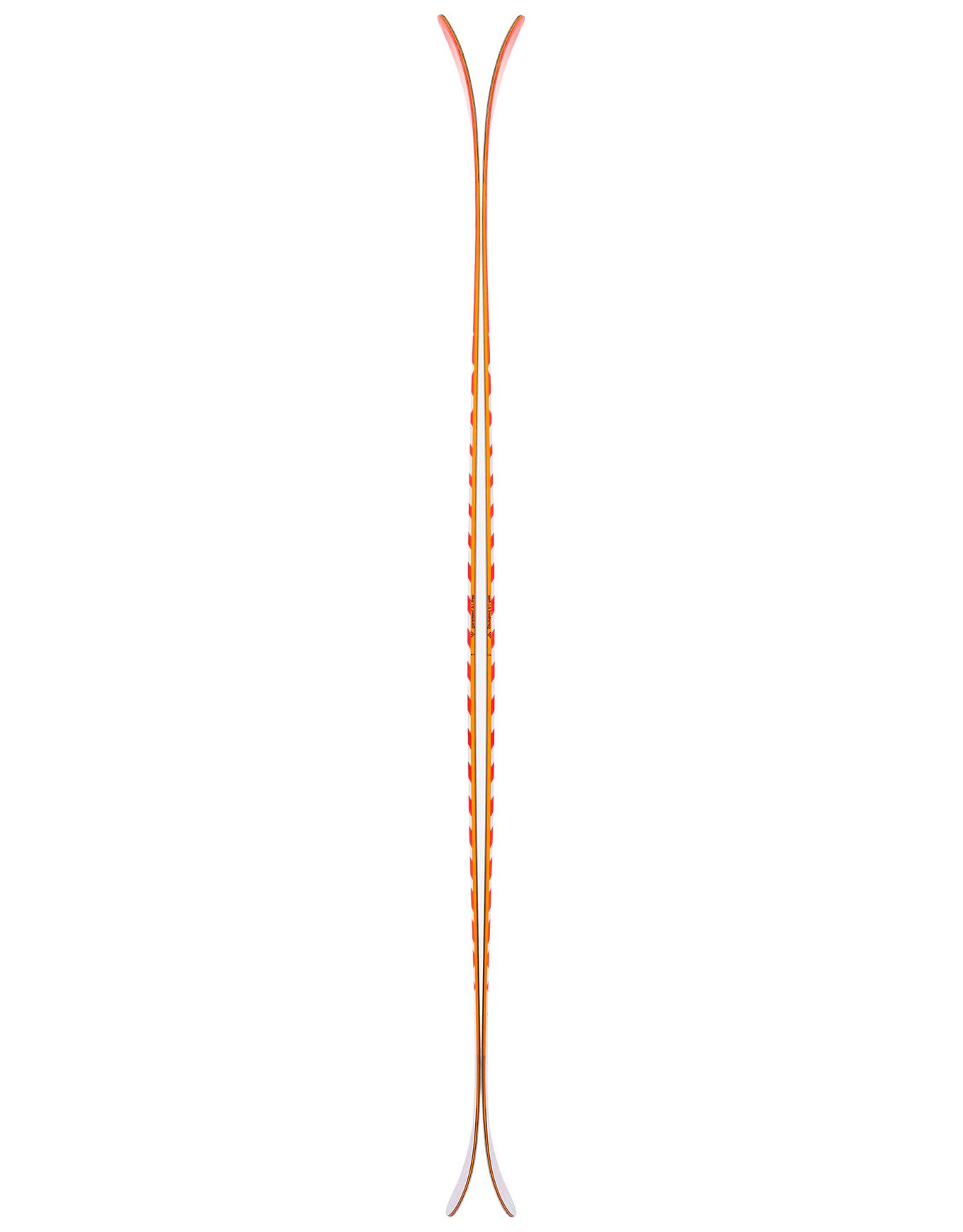 Pack Camox Birdie 2026 – Image 2