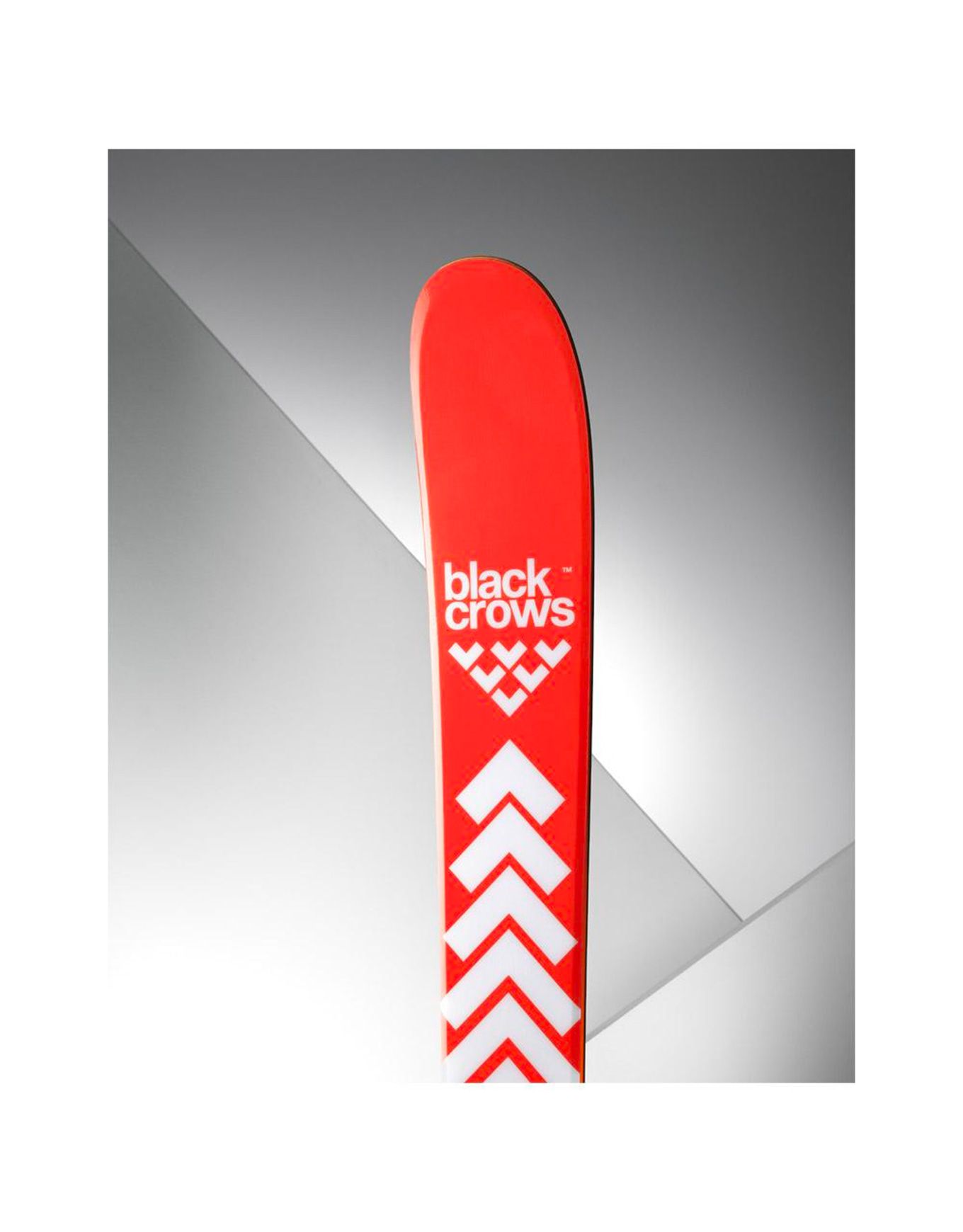 Pack Camox Birdie 2026 – Image 7