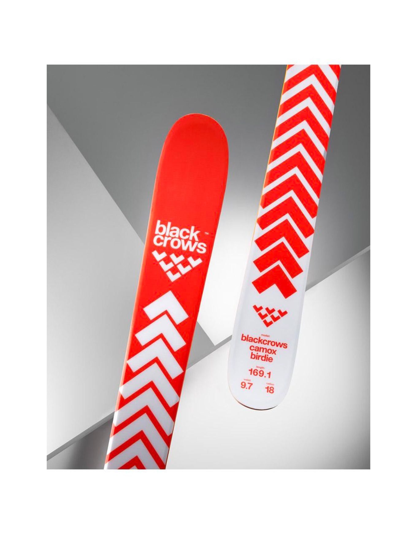 Pack Camox Birdie 2026 – Image 3