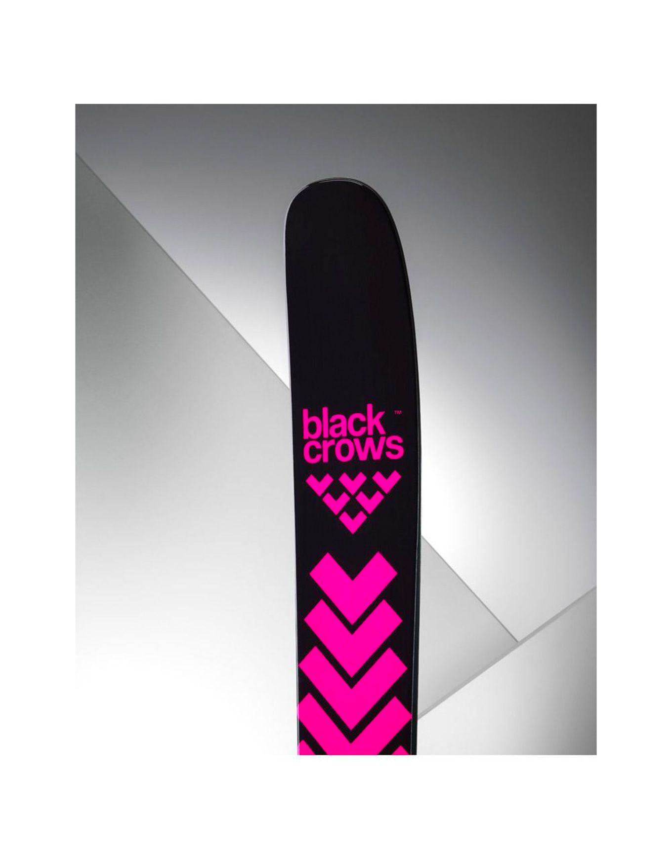 Pack Corvus 2026 – Image 4