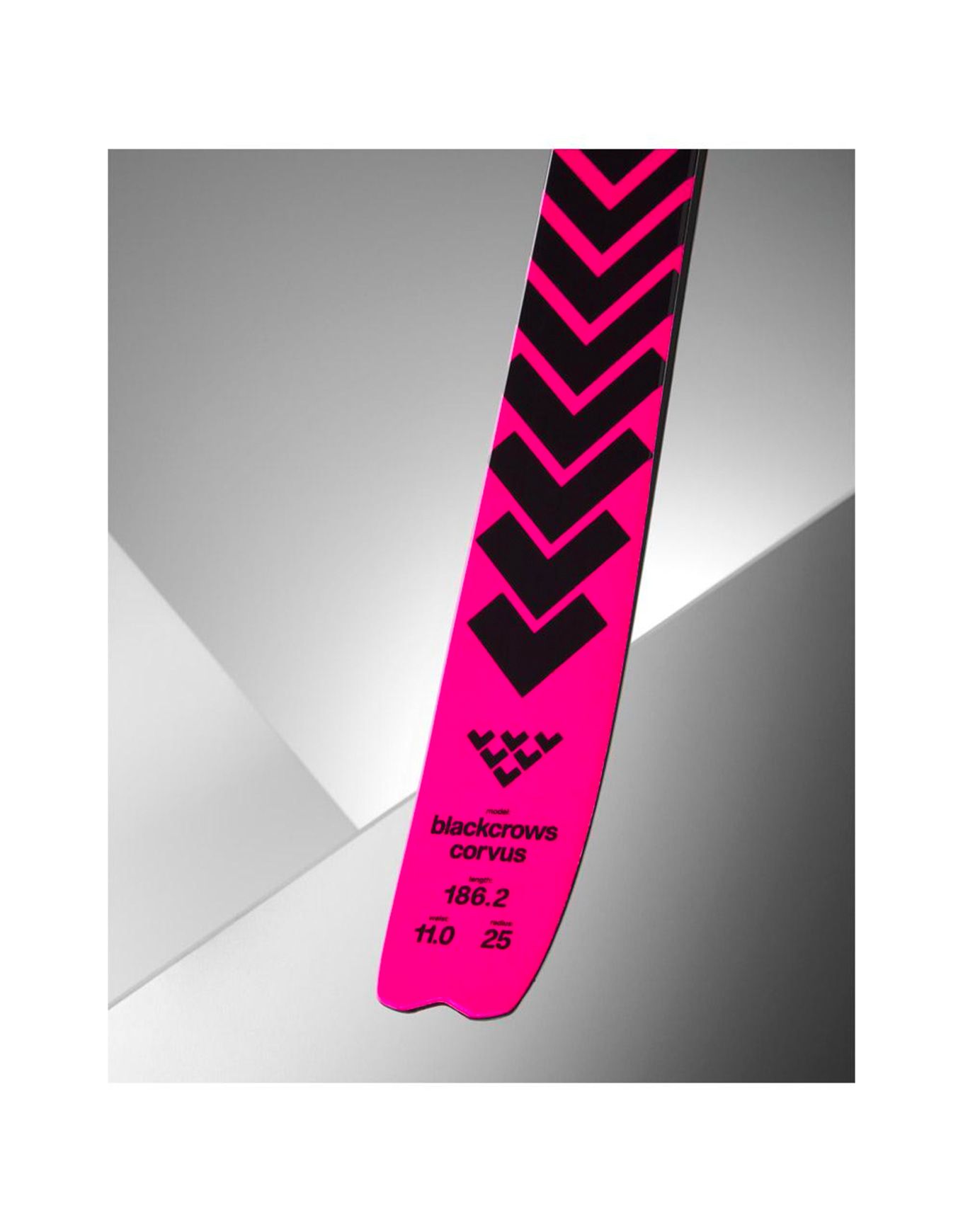 Pack Corvus 2026 – Image 2