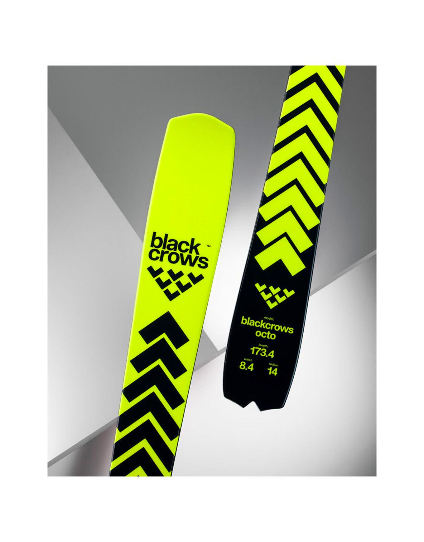 Pack Octo 2026 – Image 3