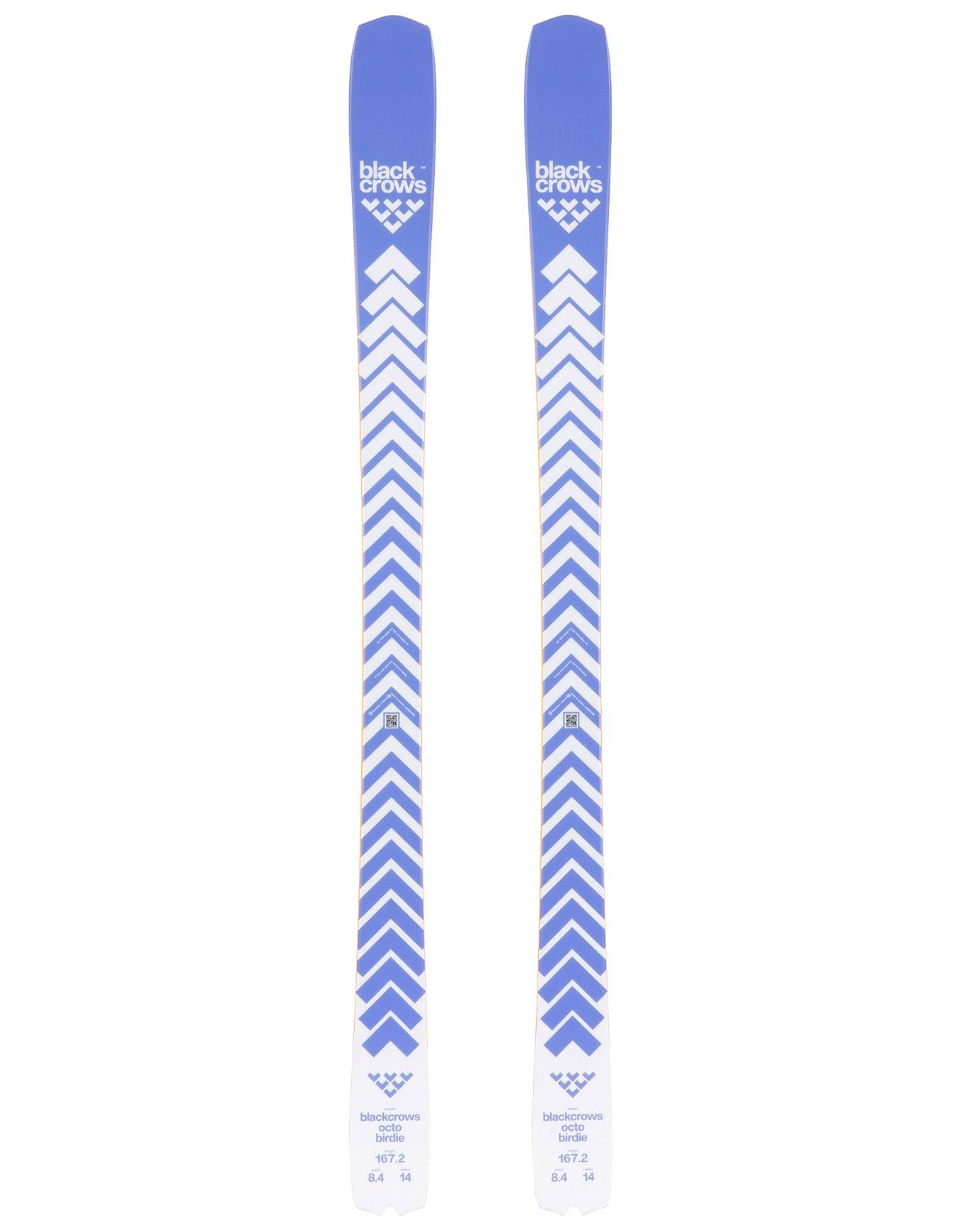 Octo Birdie 2026 – Image 3