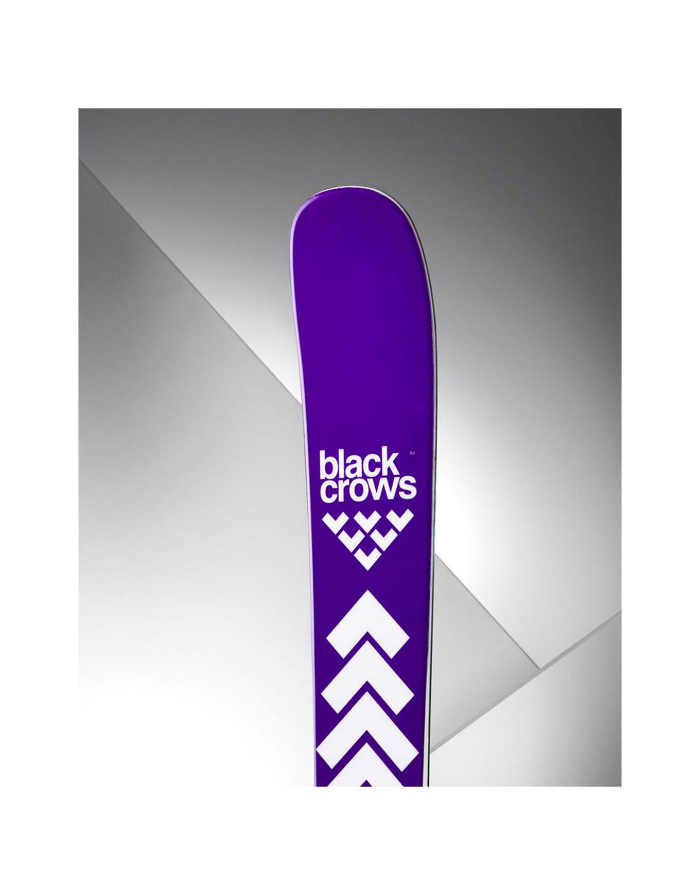 Sato Birdie 2026 – Image 5