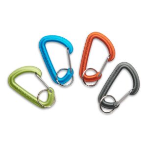 Micron Accessory Carabiner