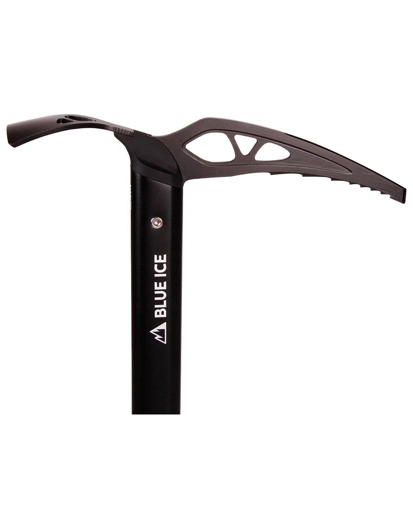 Blackbird – Image 4