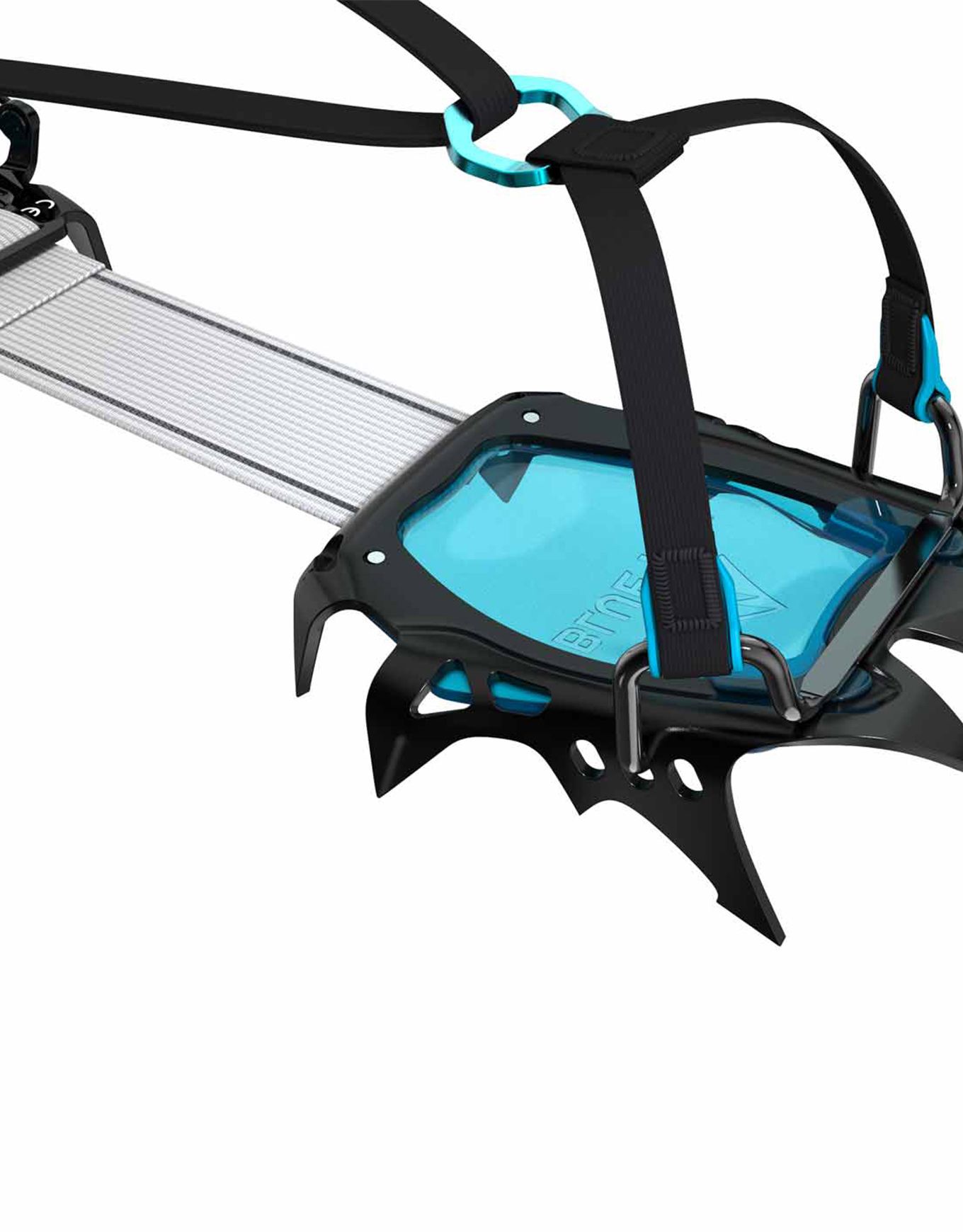 Harfang Mono – Image 5