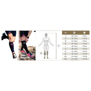 Booster Origine Bordeaux