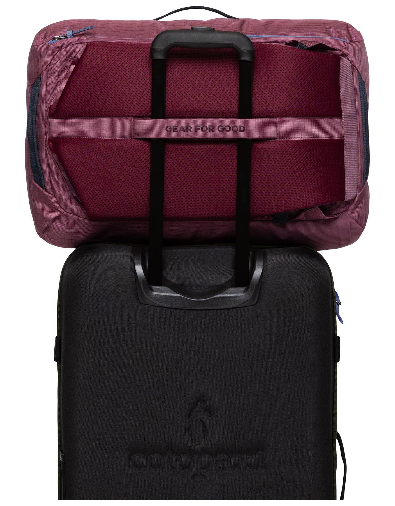 Allpa 35L Travel Pack Fig – Image 2