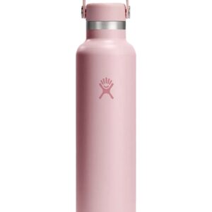 24 Oz Standard Flex Cap Trillium