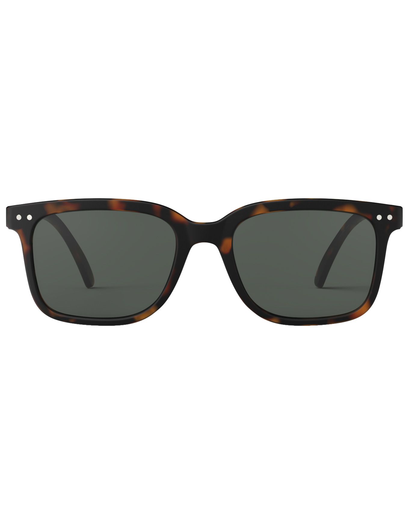 #L Sun Tortoise – Image 5