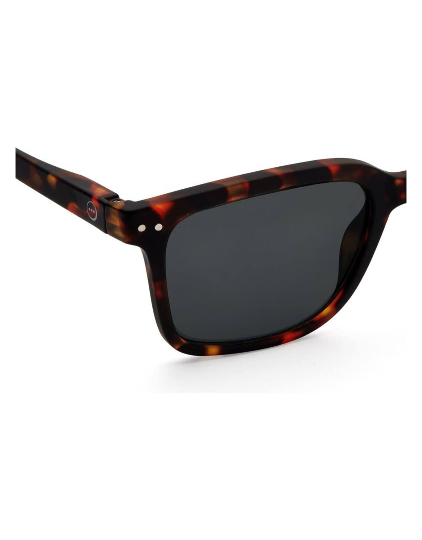 #L Sun Tortoise – Image 4