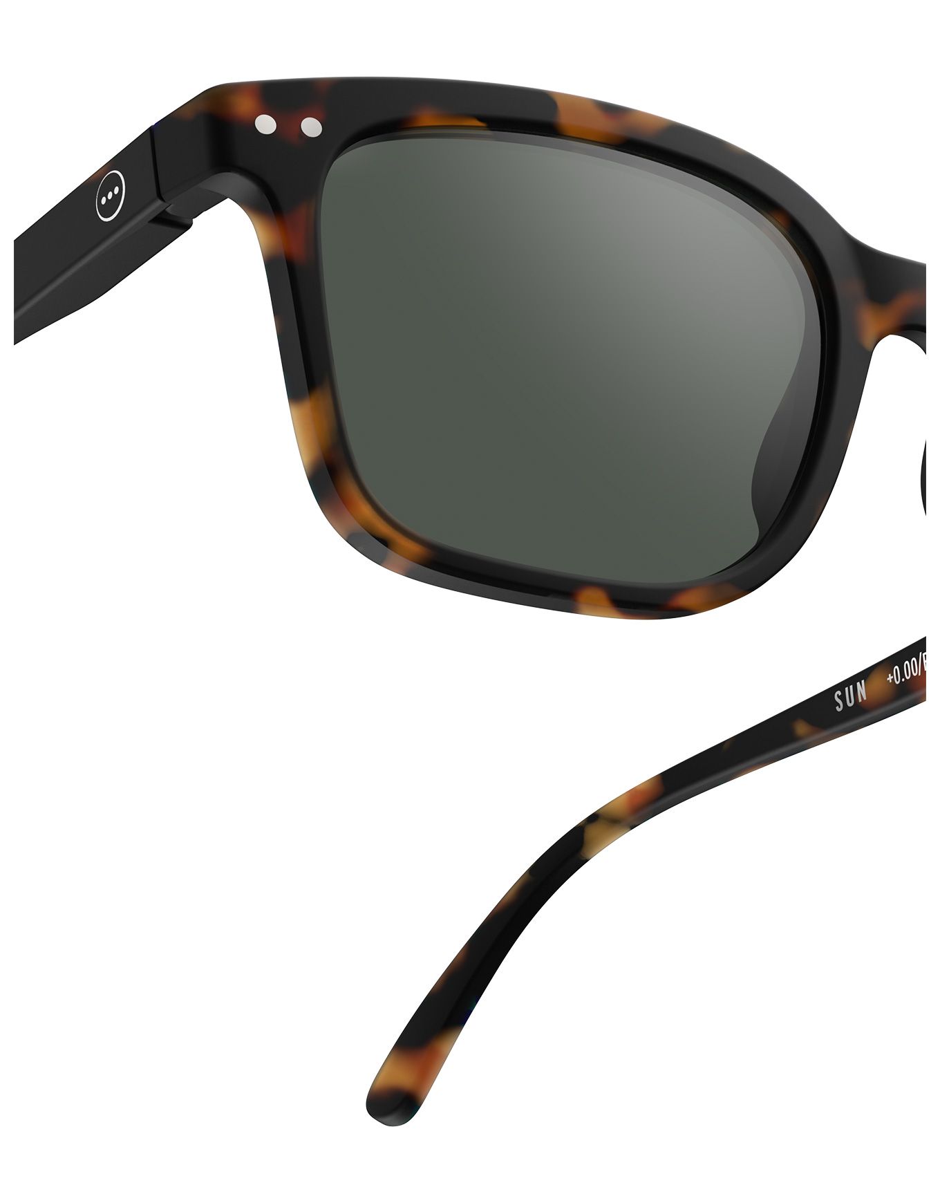 #L Sun Tortoise – Image 7