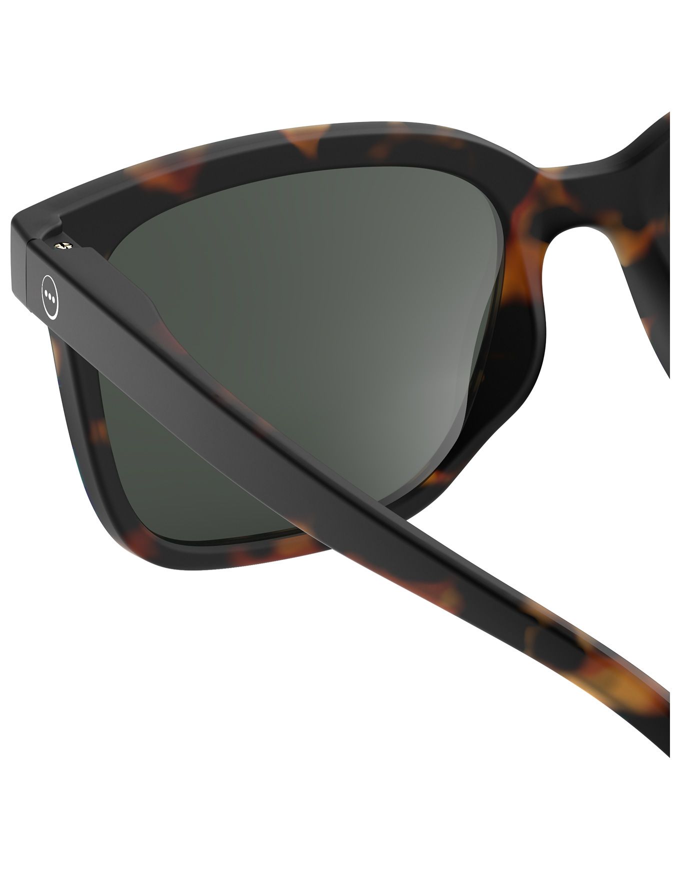 #L Sun Tortoise – Image 3