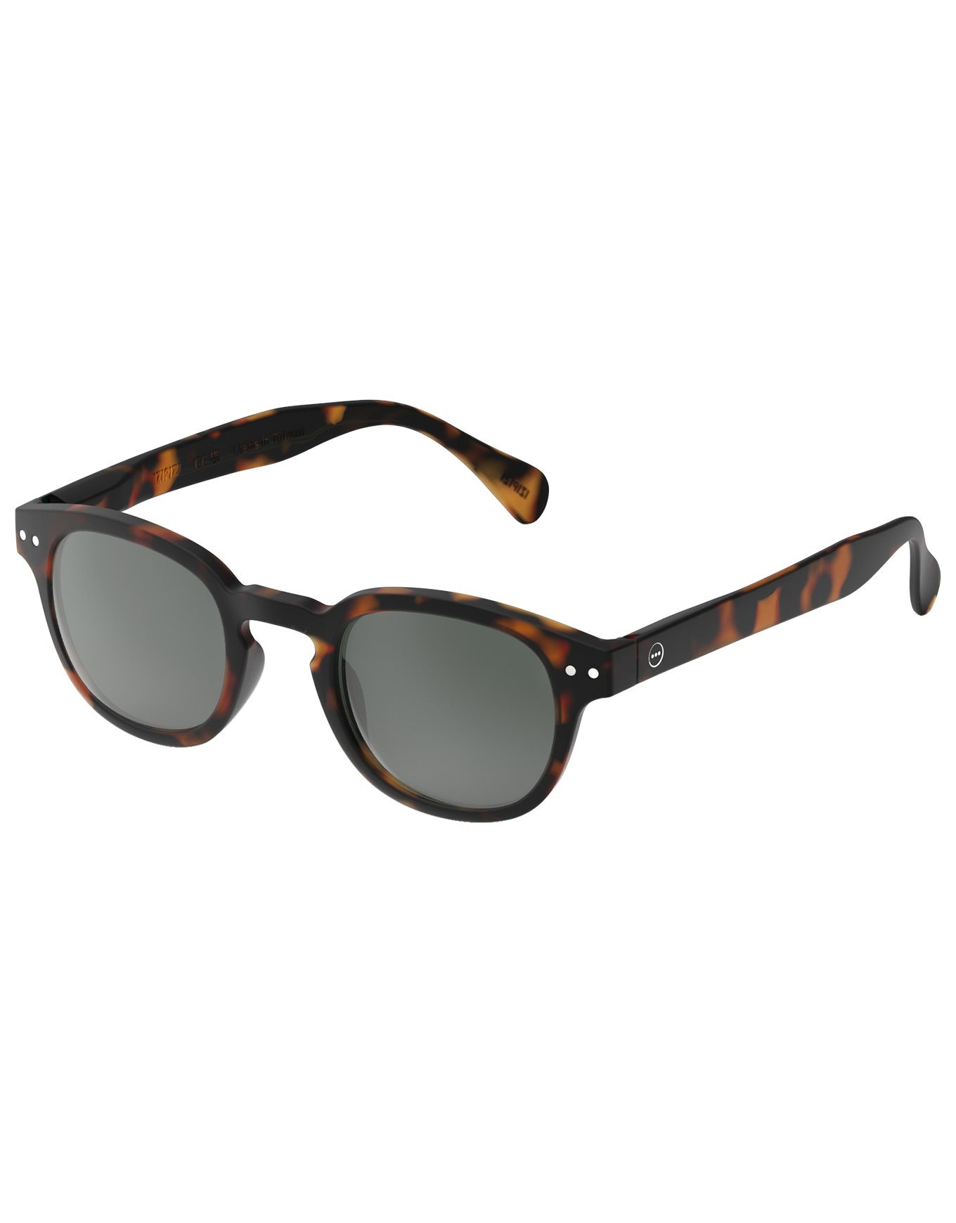 #C Sun Tortoise – Image 3