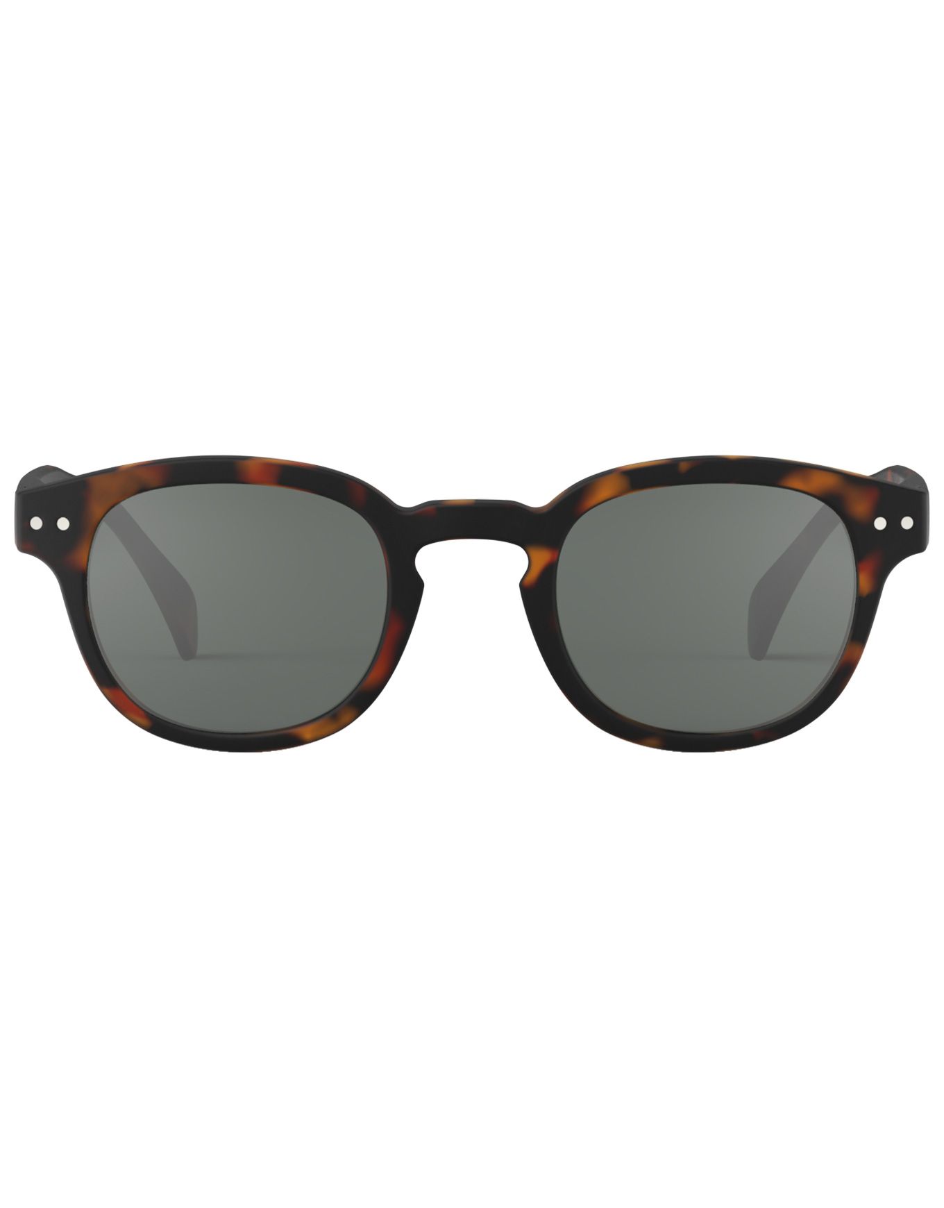 #C Sun Tortoise – Image 4