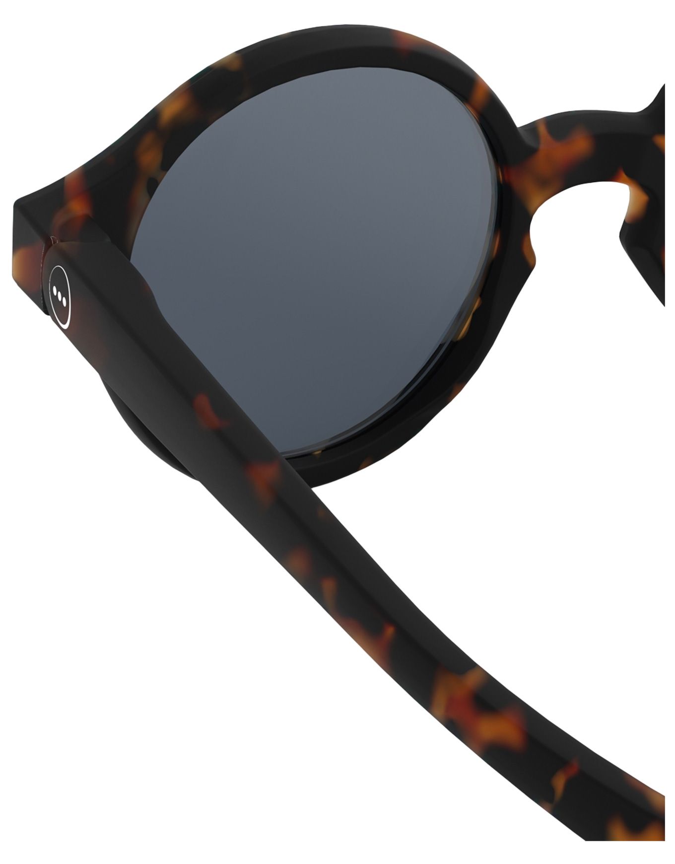 Baby #d Tortoise – Image 2