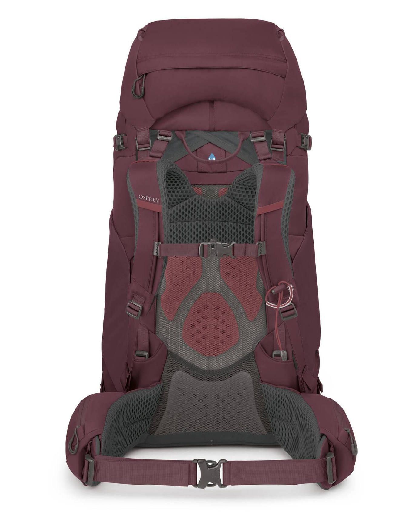 Kyte 68 Elderberry Purple – Image 4