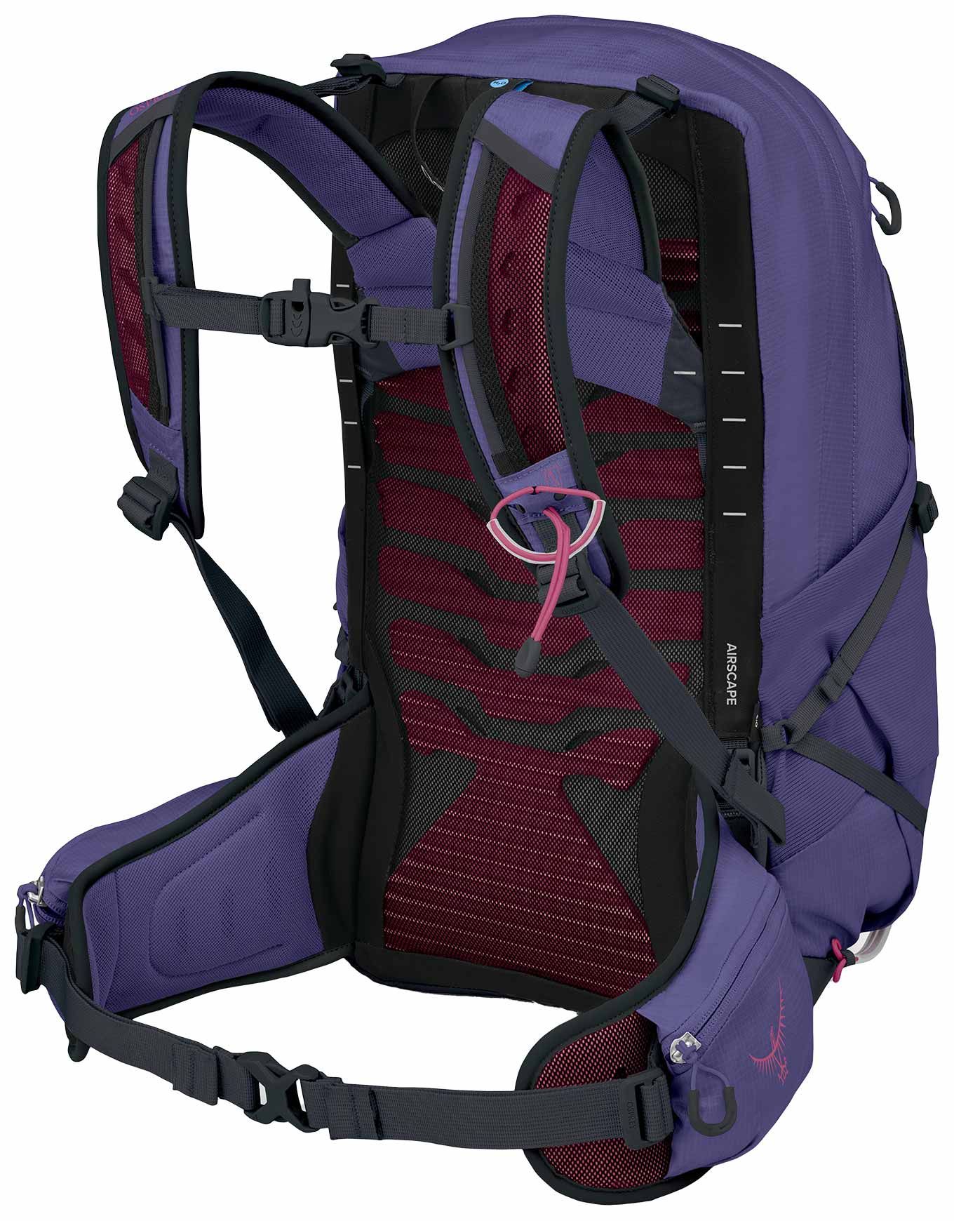 Tempest 22 Deep Fig/Hotspot Pink – Image 2