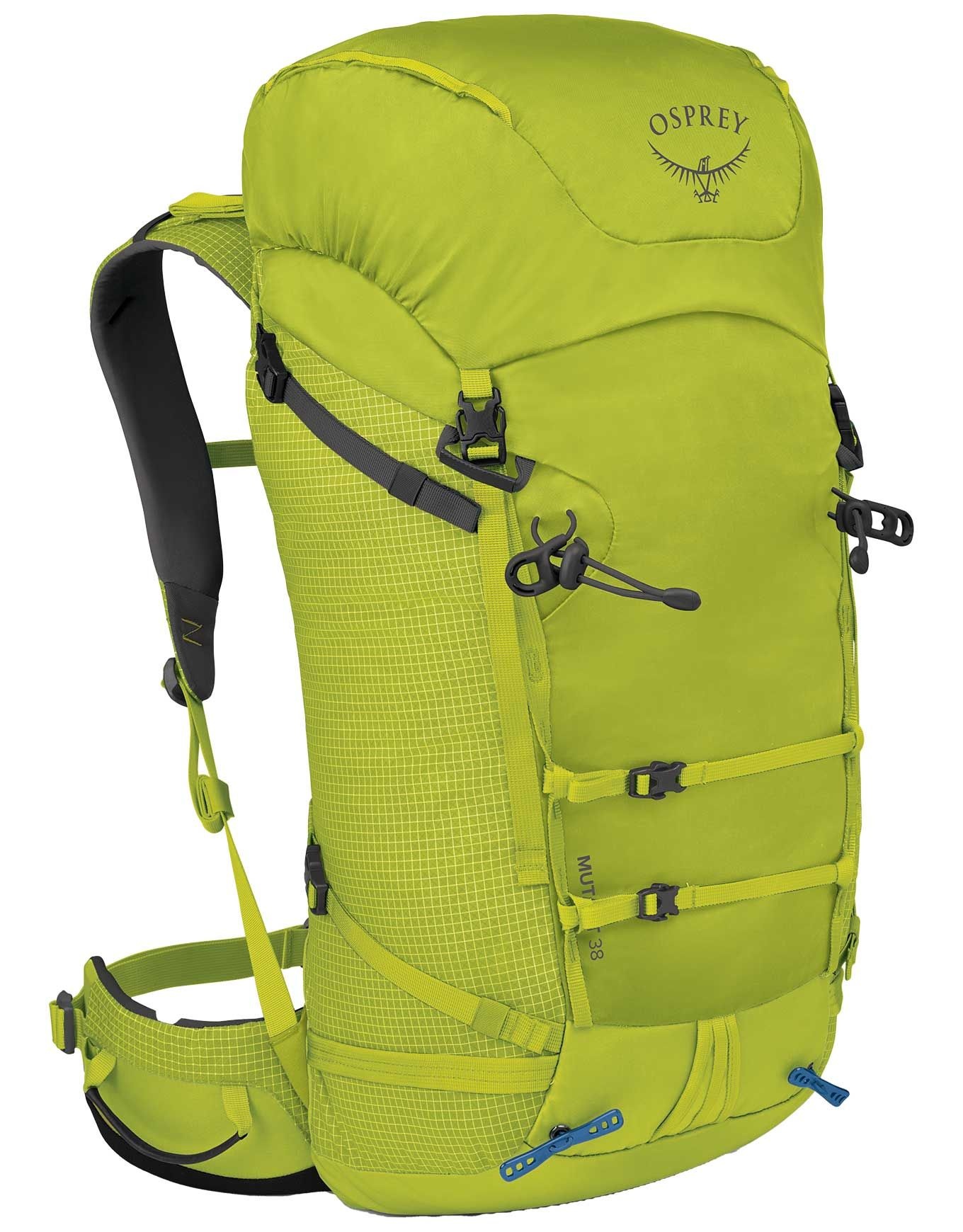 Mutant 38 Lemongrass – Image 4