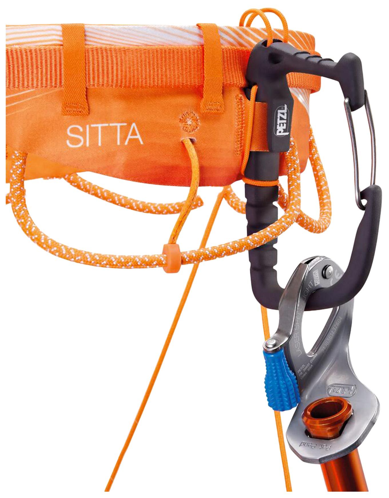 Sitta Orange – Image 5