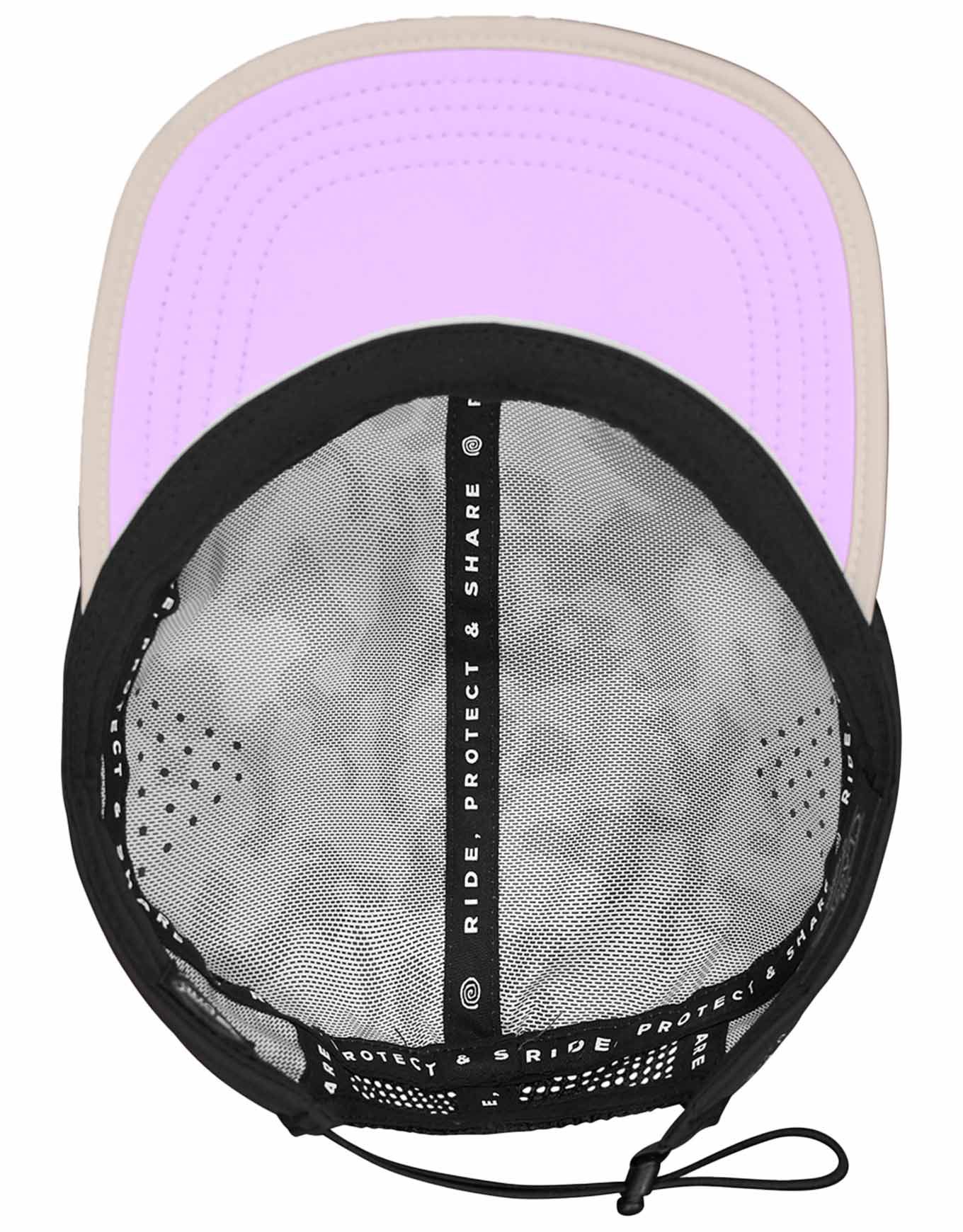 Shonto Cap Partridge – Image 3