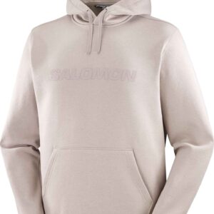 Salomon Big Logo Hoodie M Etherea