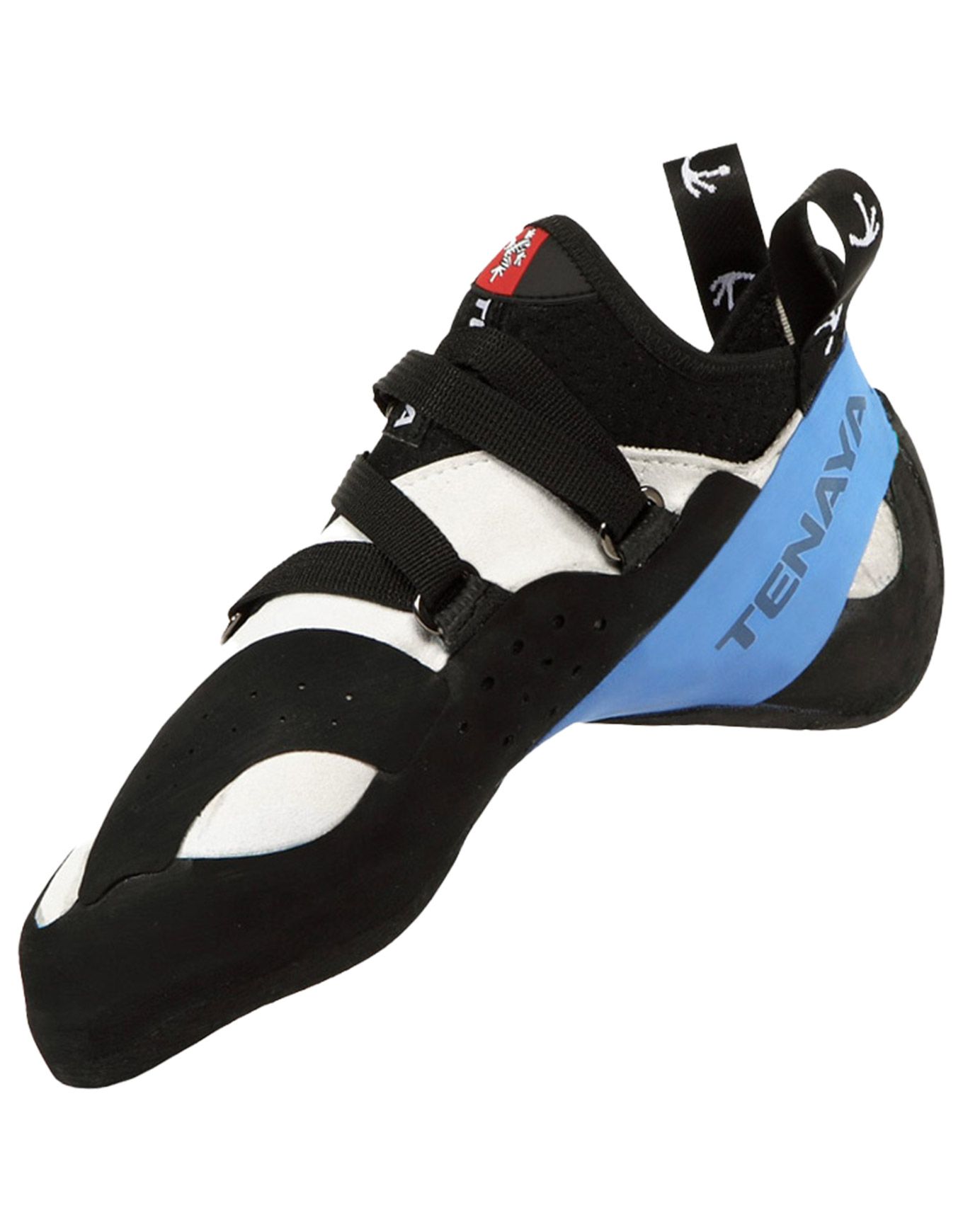 Oasi Blue – Image 3