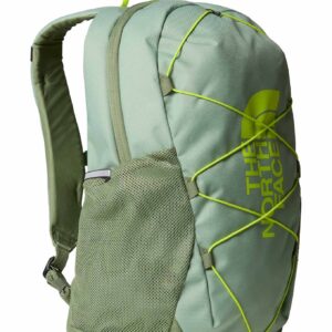 Y Court Jester Slate Moss Bark Mist