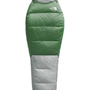 Green Kazoo Forest Shade