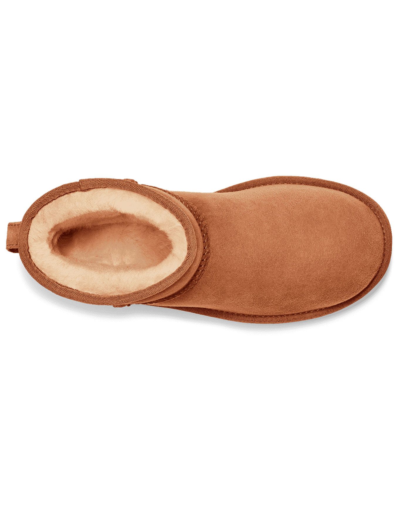 Classic Mini II Chestnut – Image 4