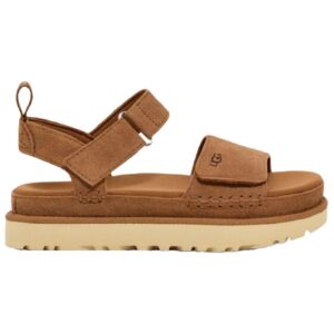 W Goldenstar Chestnut