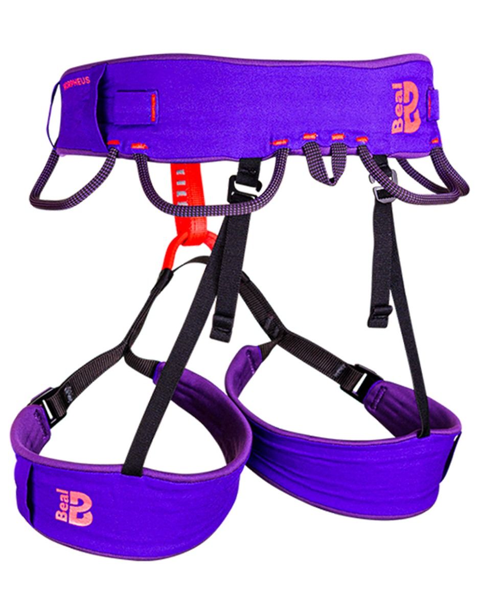 Morpheus – Image 3