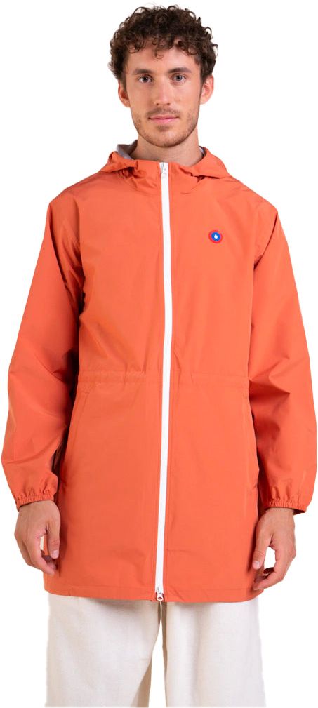 Amelot Ginger – Image 4