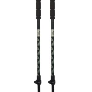 Le Touring Snowleader