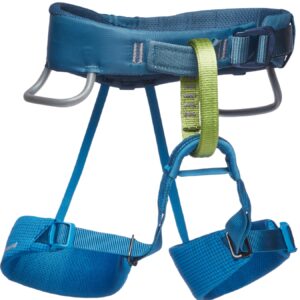 Momentum Harness Kids' Kingfisher