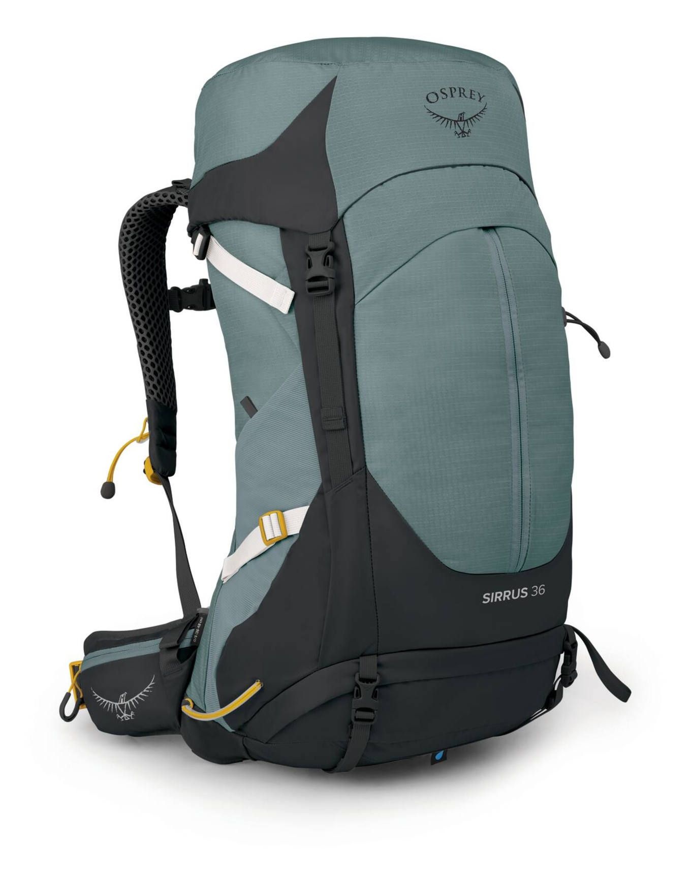 Sirrus 36 Succulent Green – Image 4