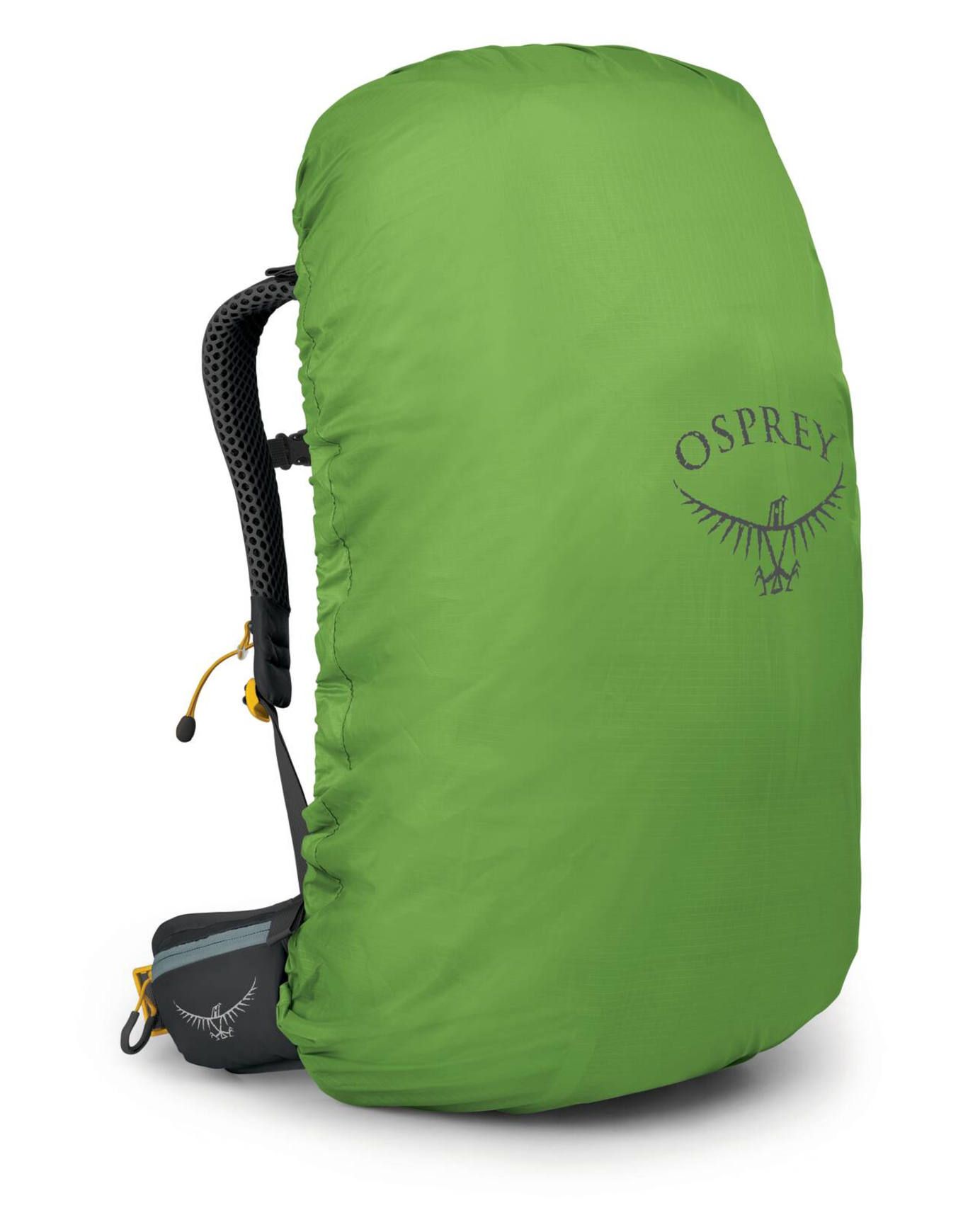 Sirrus 36 Succulent Green – Image 3