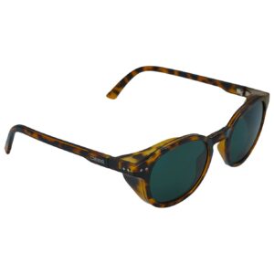 Sidewalk Shiny Dark Tortoise