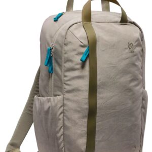 Highline 20L Backpack Sage