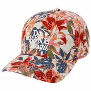 Reset Unstructured Ballcap Light Stargazer