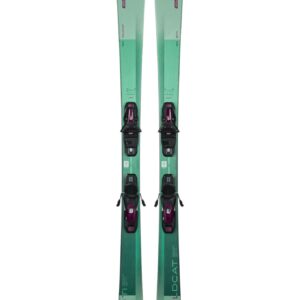 Wildcat 80 Ti + Shiftx El 9.0 2026