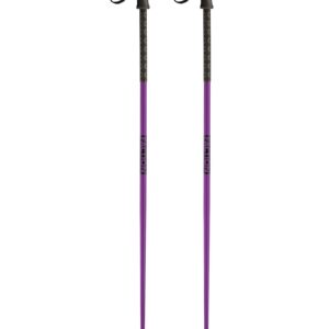 Faction Poles Purple