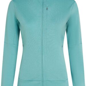 W Merino 260 Quantum LS Zip Hoodie Hydro