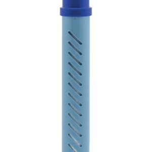 Filtre de Remplacement pour Lifestraw Go 2 Stages