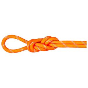 9.5 Alpine Dry Rope Vibrant Orange/Zen